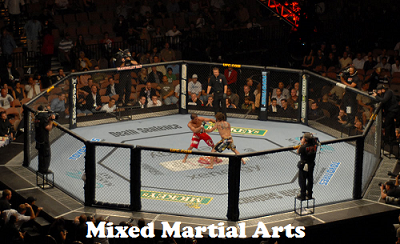 Mixed Martial Arts Fight